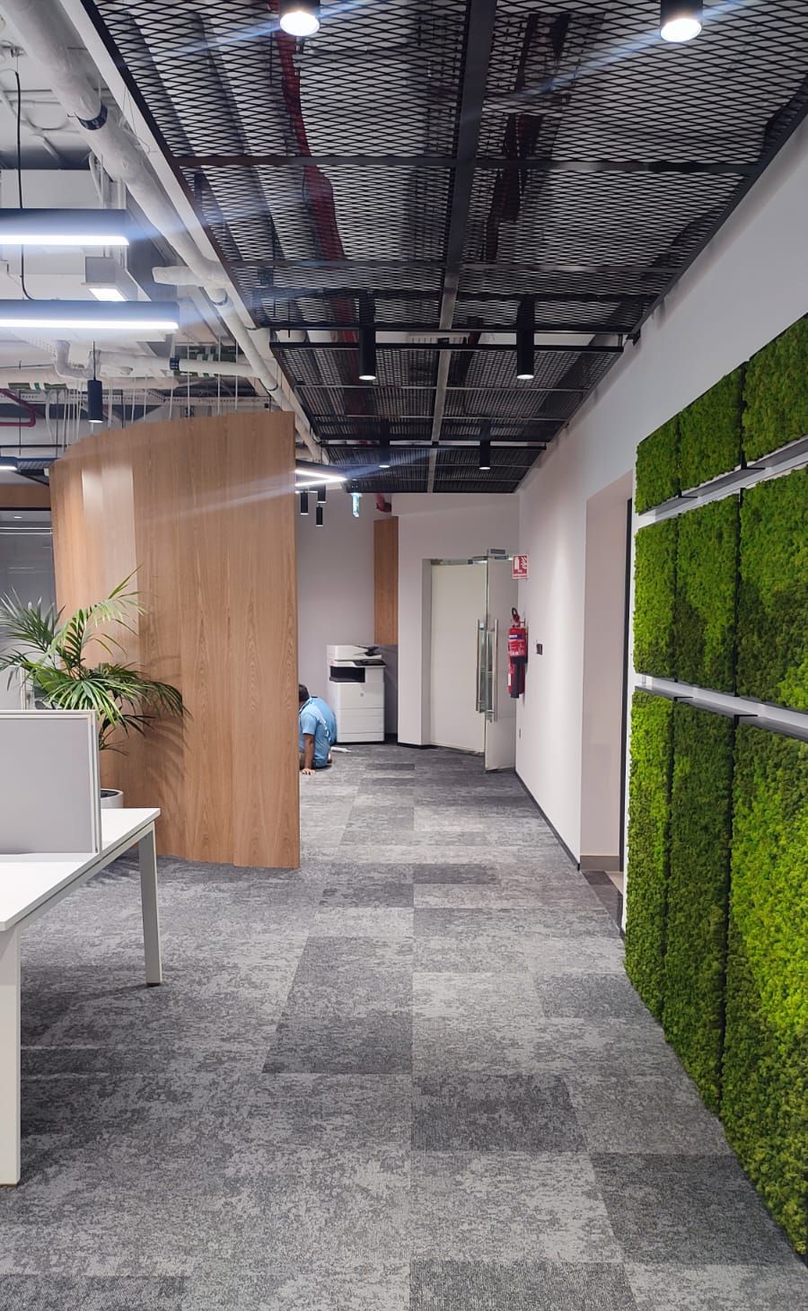 Office Fit-out — photo 3 of 13